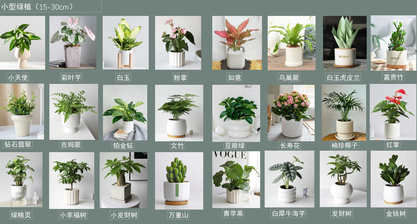 上海租赁